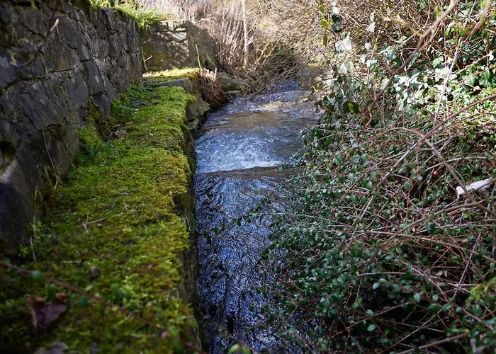 Familienglueck Lautenthal